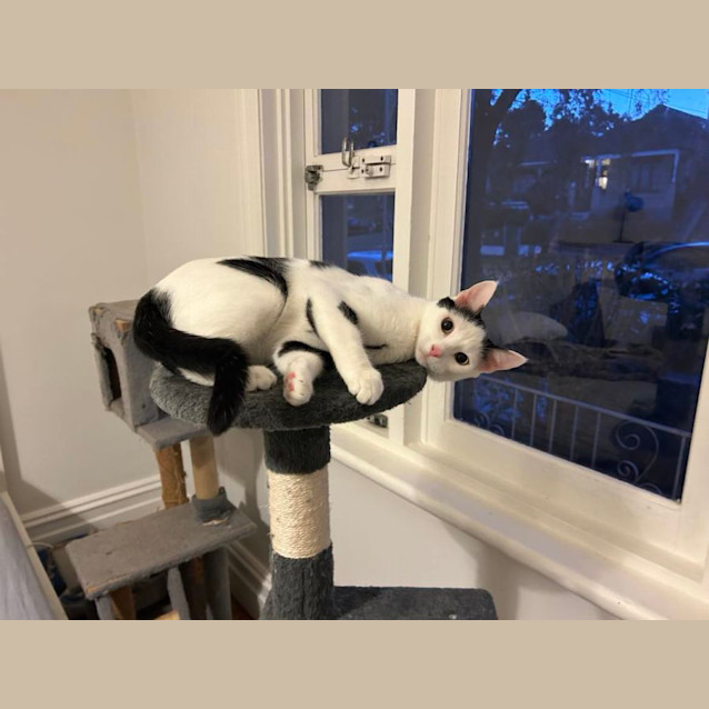 Photo of Minnie And Martie  