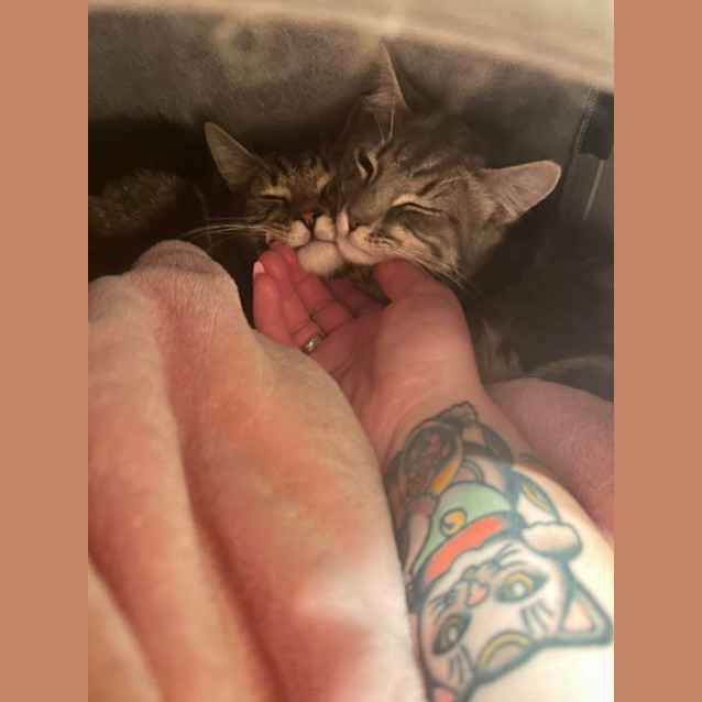 Photo of Cola 🤎🥤🫧