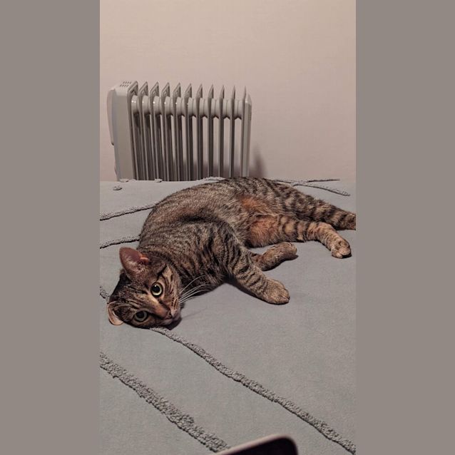 Photo of Cleopatra