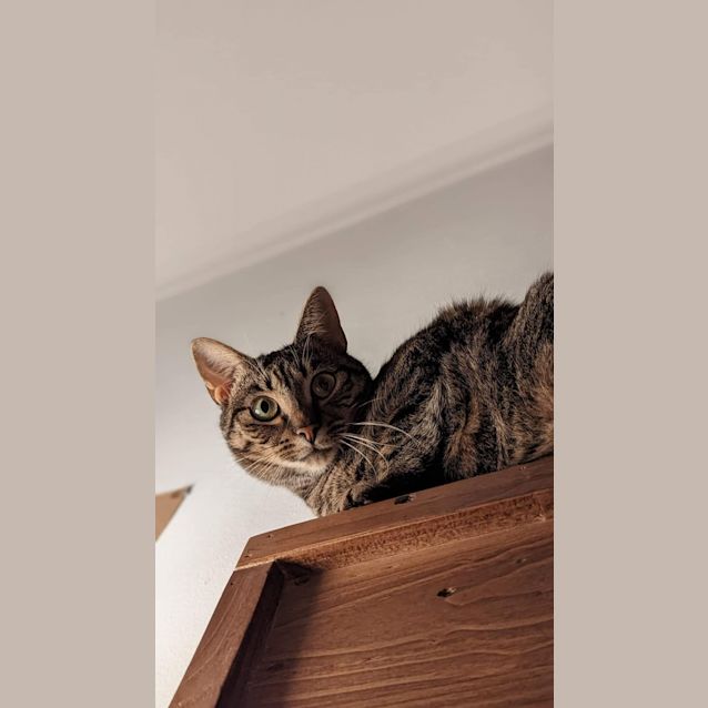Photo of Cleopatra