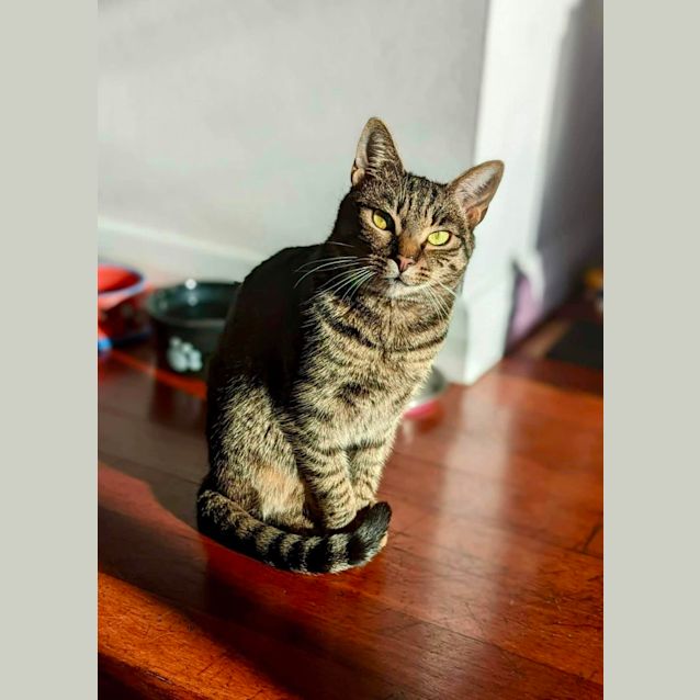 Photo of Cleopatra