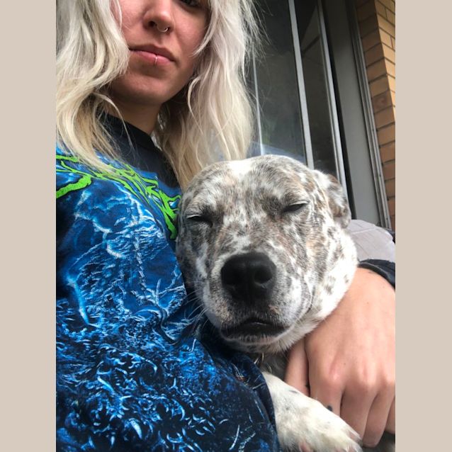 Photo of Chop 