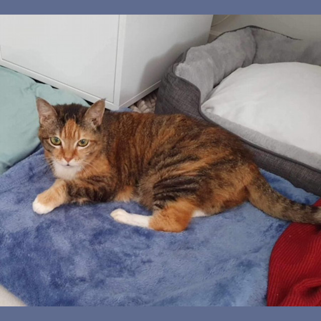 Photo of Cleo