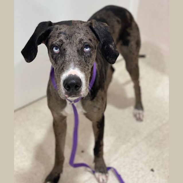 Photo of Deborah (9811)