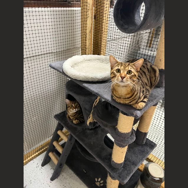 Photo of Oscar & Oliver