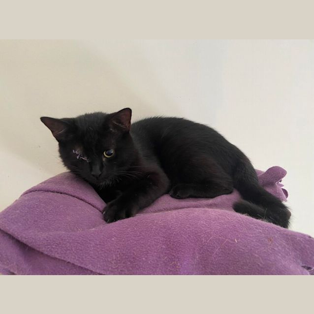 Photo of Winky