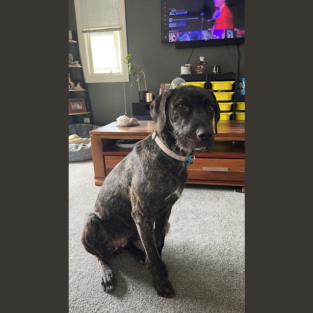 Photo of Bonnie