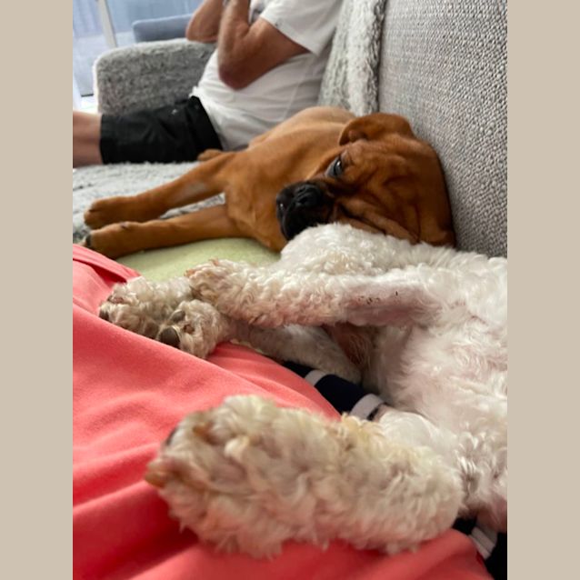 Photo of Freddie