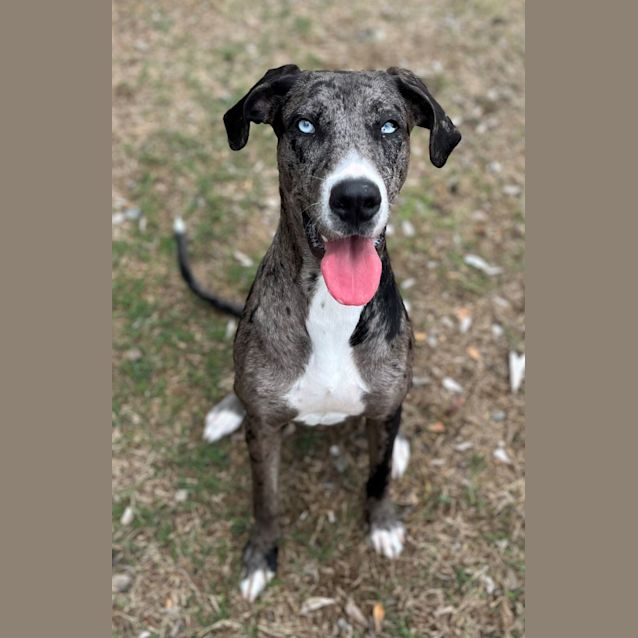 Photo of Deborah (9811)