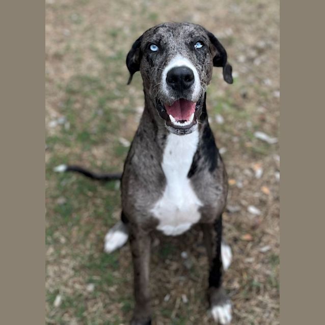 Photo of Deborah (9811)