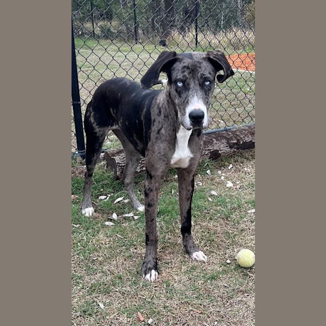 Photo of Deborah (9811)