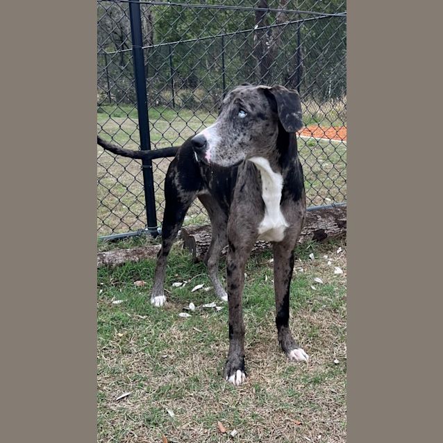 Photo of Deborah (9811)