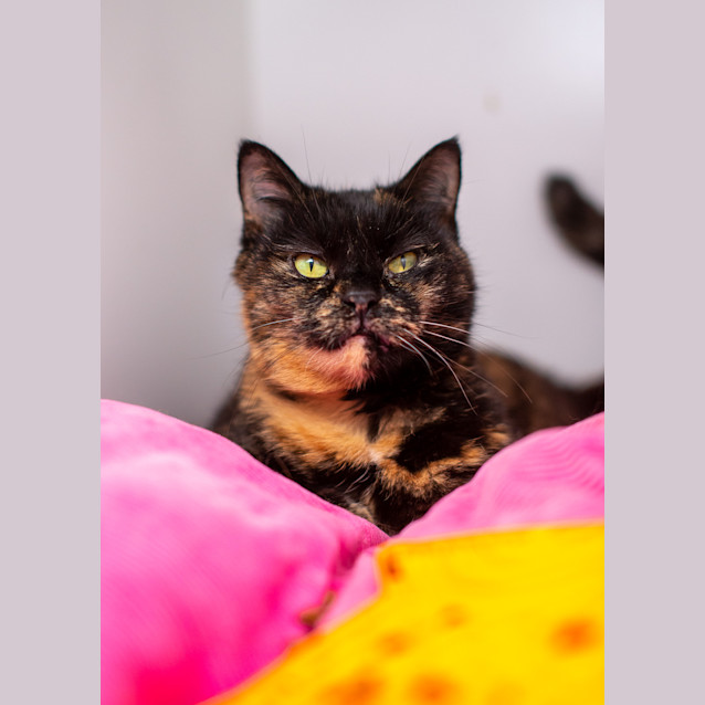 Photo of Tabatha