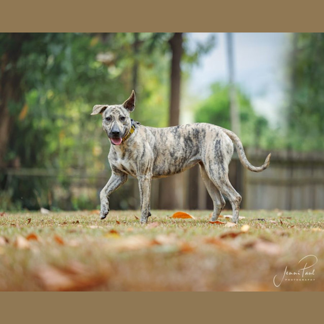 Photo of Bella