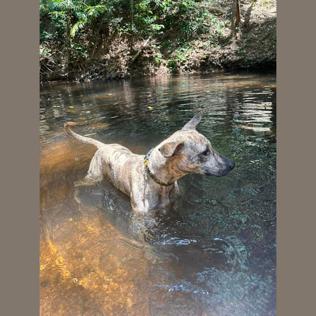 Photo of Bella