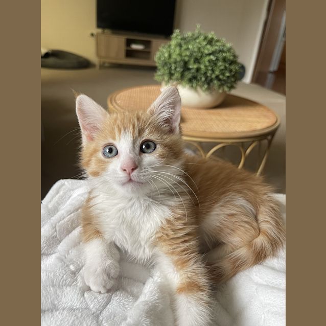 Photo of Bruce / Baby B