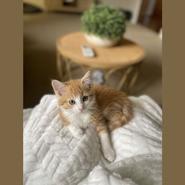 Photo of Bruce / Baby B