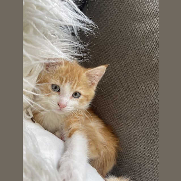 Photo of Bruce / Baby B