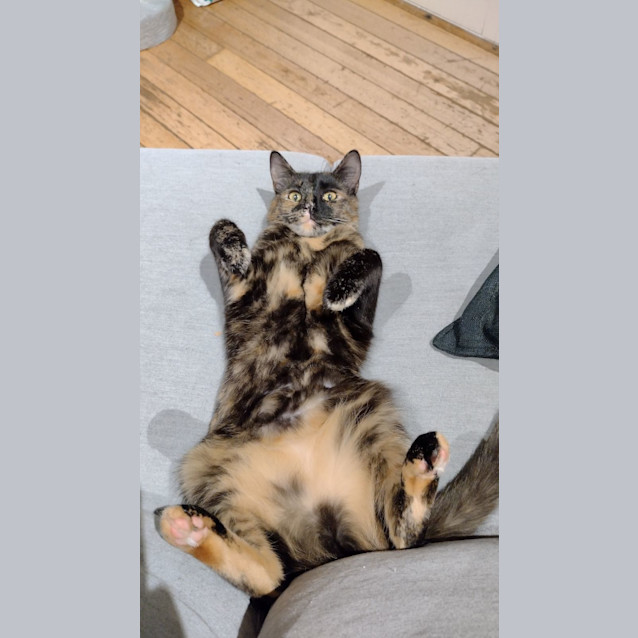 Photo of Tokyo & Nairobi