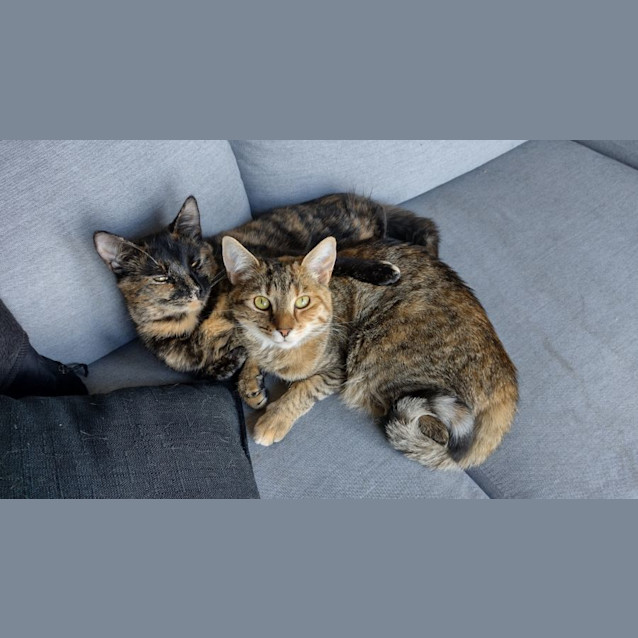 Photo of Tokyo & Nairobi