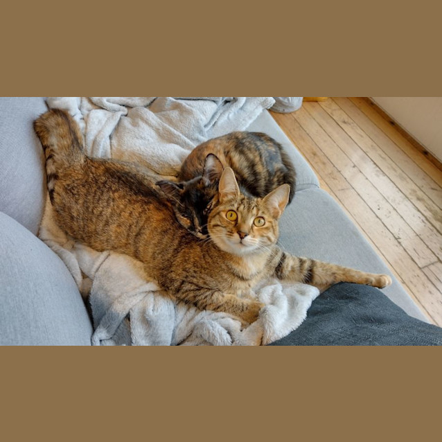 Photo of Tokyo & Nairobi