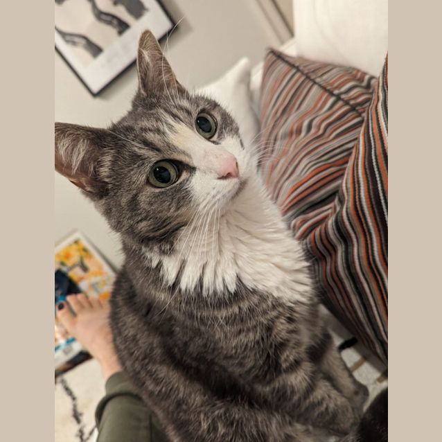 Photo of Sinatra