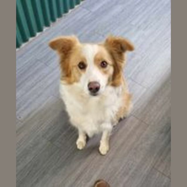 Photo of Maggie