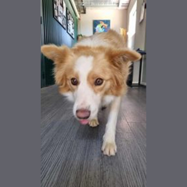 Photo of Maggie