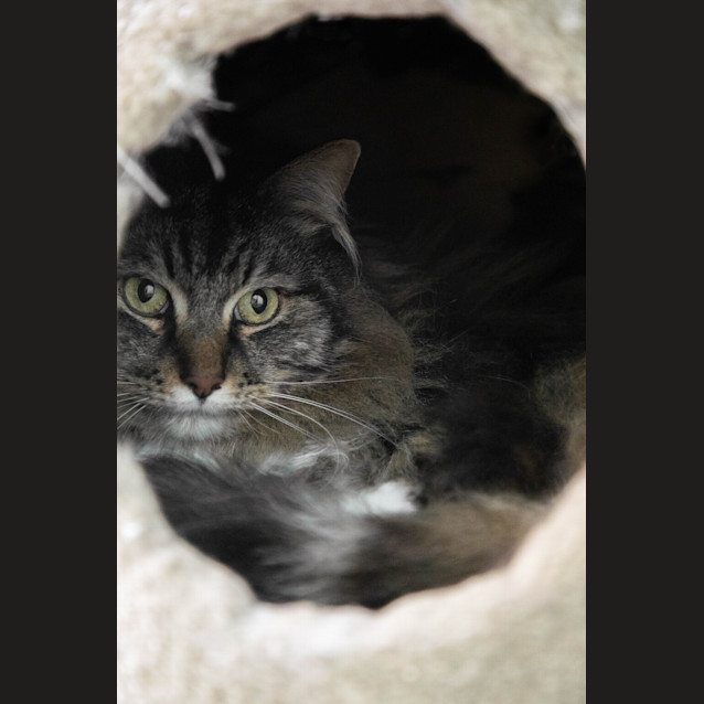 Photo of Boots