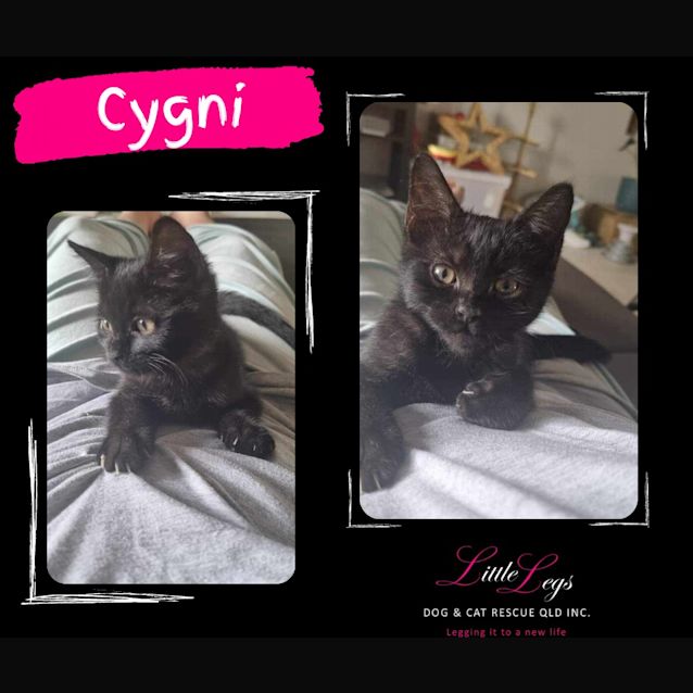 Photo of Cygni