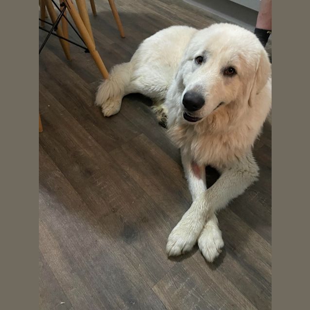 Photo of Reggie