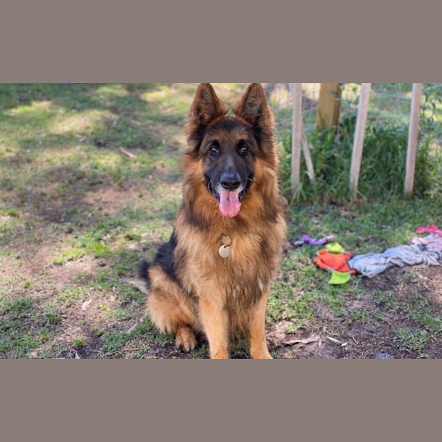 Photo of Tyson