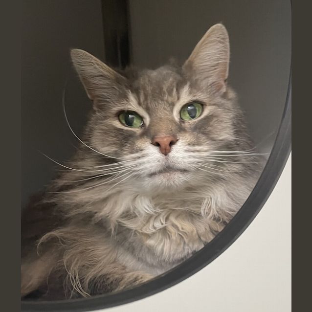 Photo of Sunny
