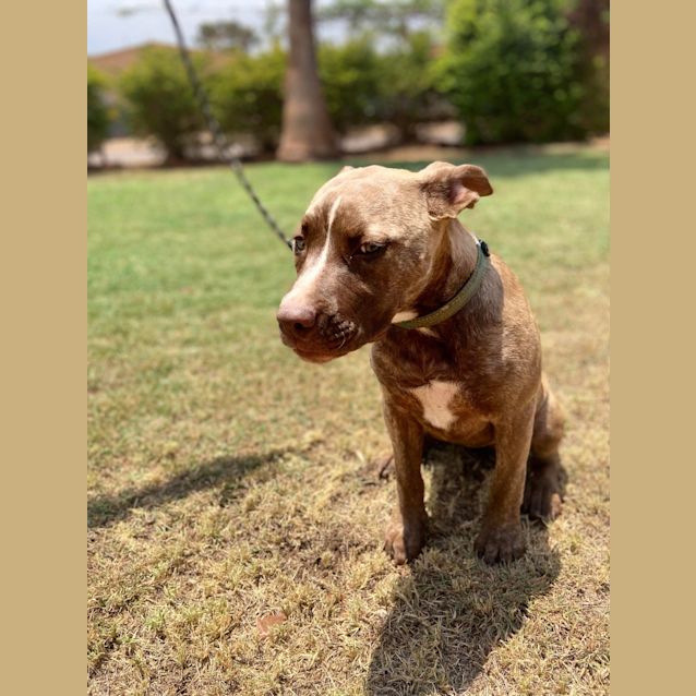 Photo of Maggie