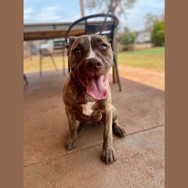 Photo of Maggie