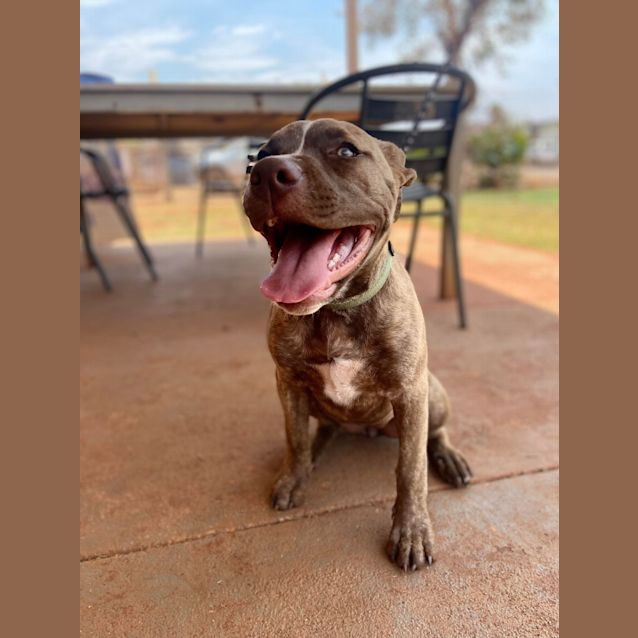 Photo of Maggie