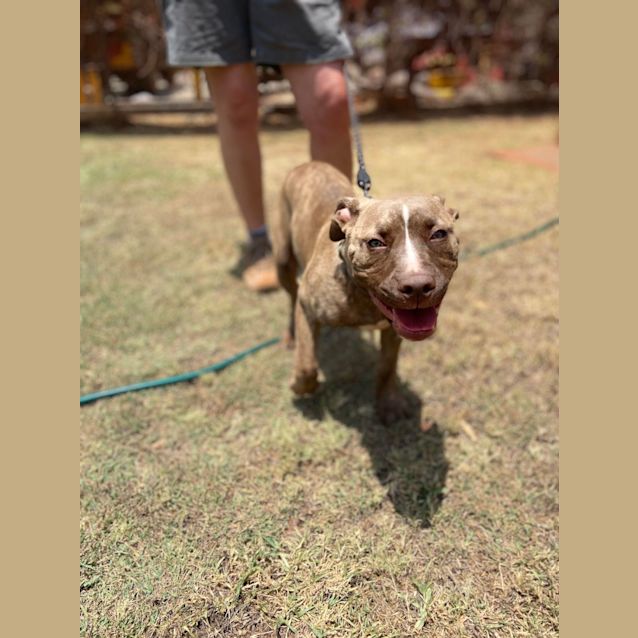 Photo of Maggie
