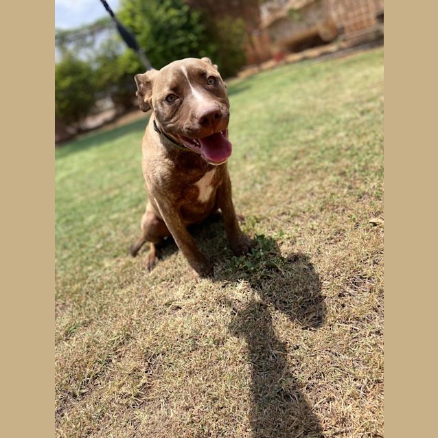 Photo of Maggie