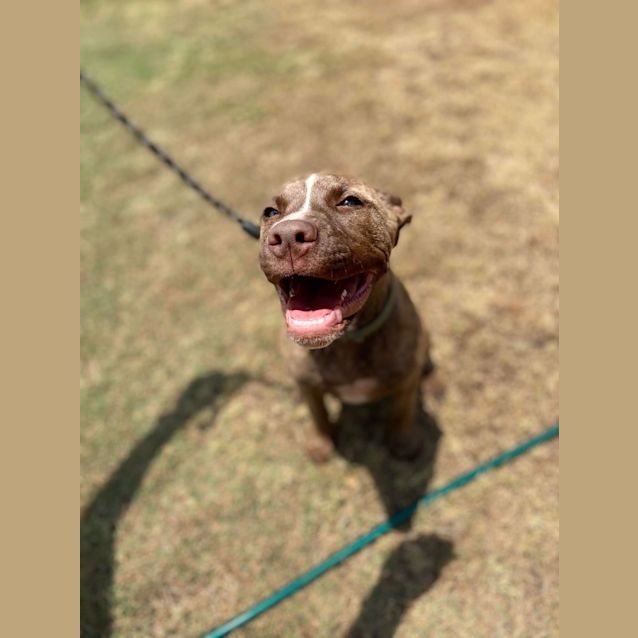 Photo of Maggie