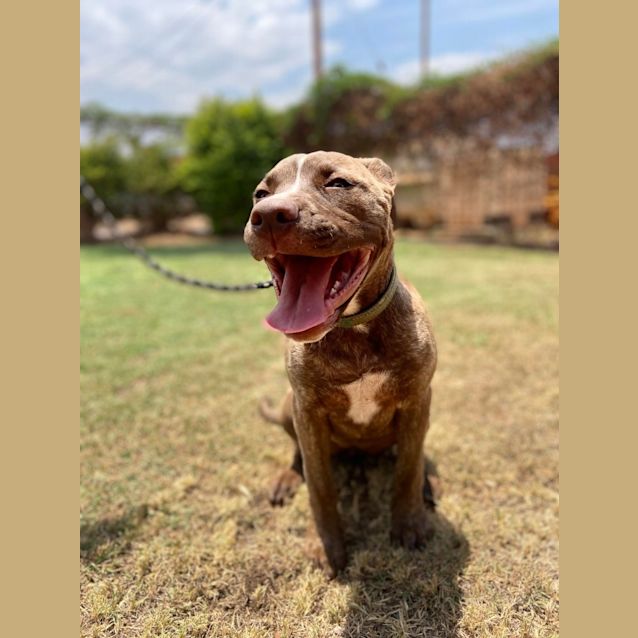 Photo of Maggie