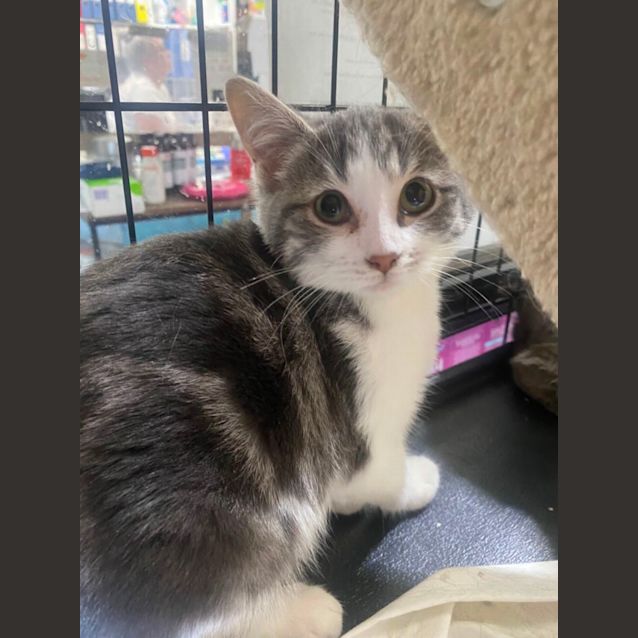 Photo of Stormy
