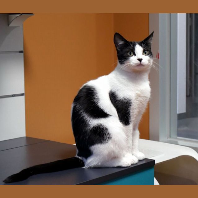 Photo of Crispy Sta011716