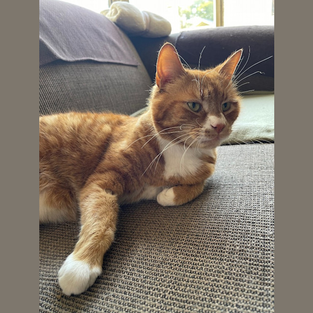 Photo of Charlie