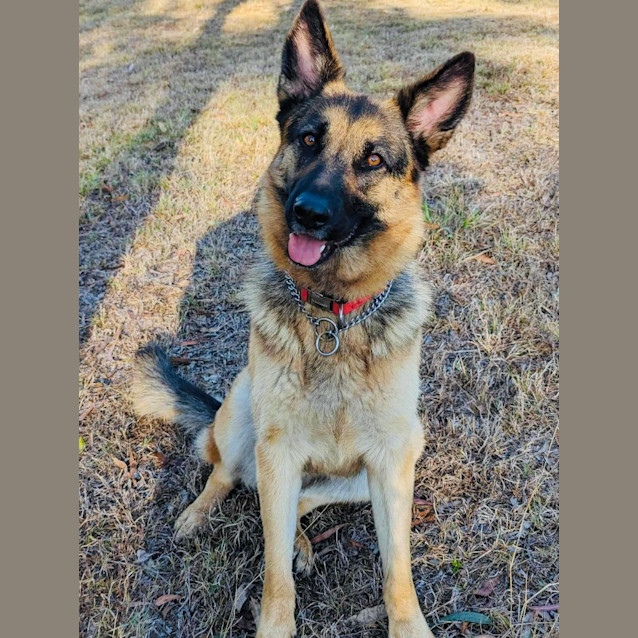Photo of Skye