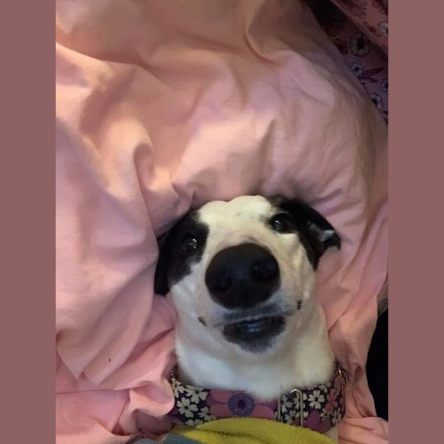 Photo of Queen Minnie 