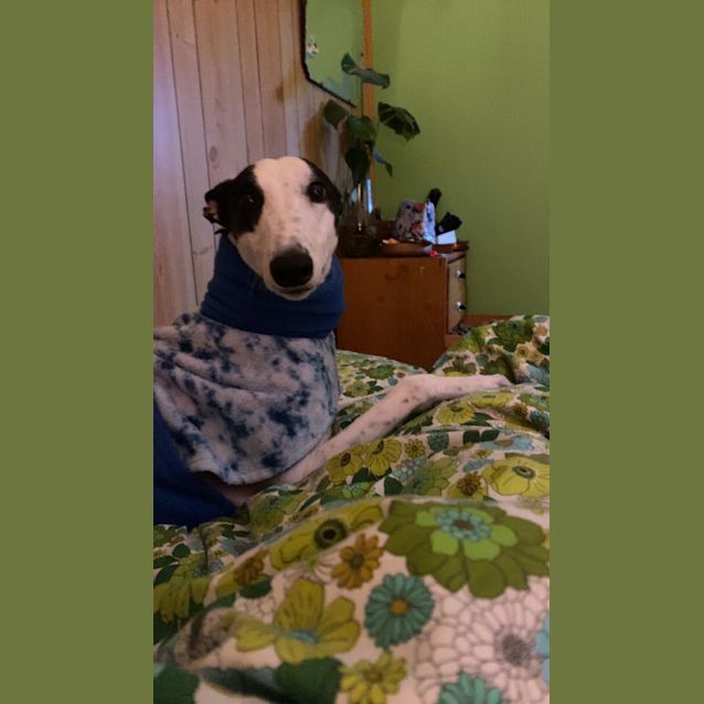 Photo of Queen Minnie 