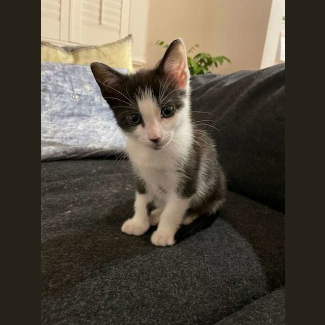 Photo of Penny