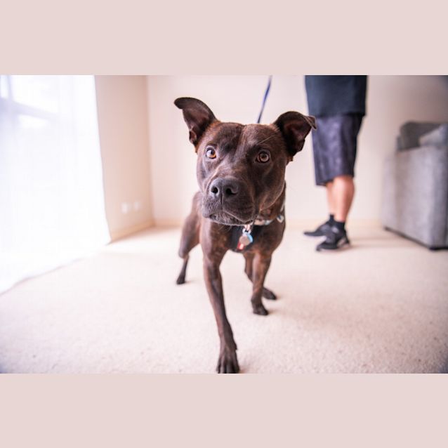 Photo of Cooper