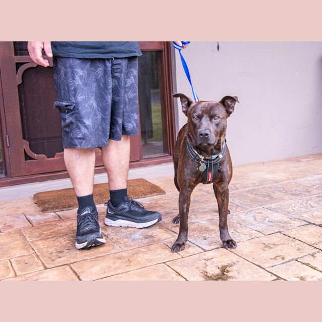 Photo of Cooper