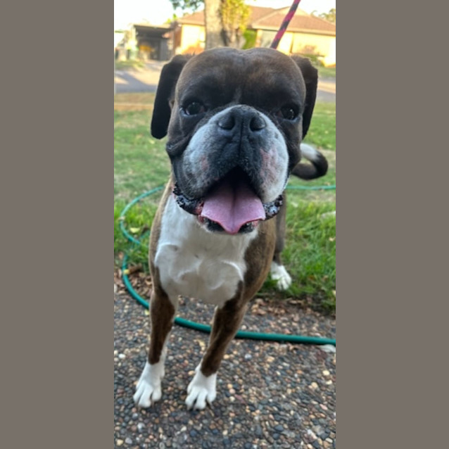 Photo of Forest And Pearl